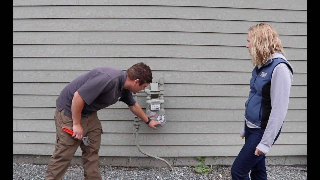 Natural Gas and Earthquakes