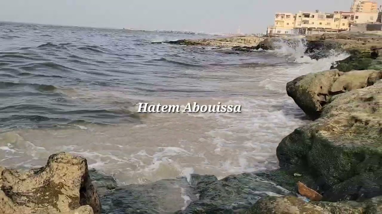 حال البحر وطقس اليوم فى الإسكندرية .