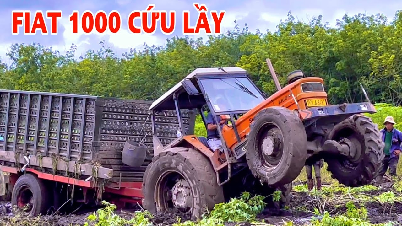 Máy Cày Fiat 1000 Vô Kéo Lầy Belarus 825 Chưa Được Thì Bị Xuống Bánh Và Cái Kết, Thiện Vũ TV