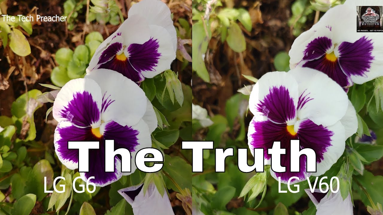 LG V60 Vs Lg G6 Camera Comparison | Old Vs New | How As It Age !!!
