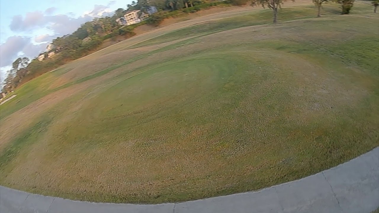Flying through trees