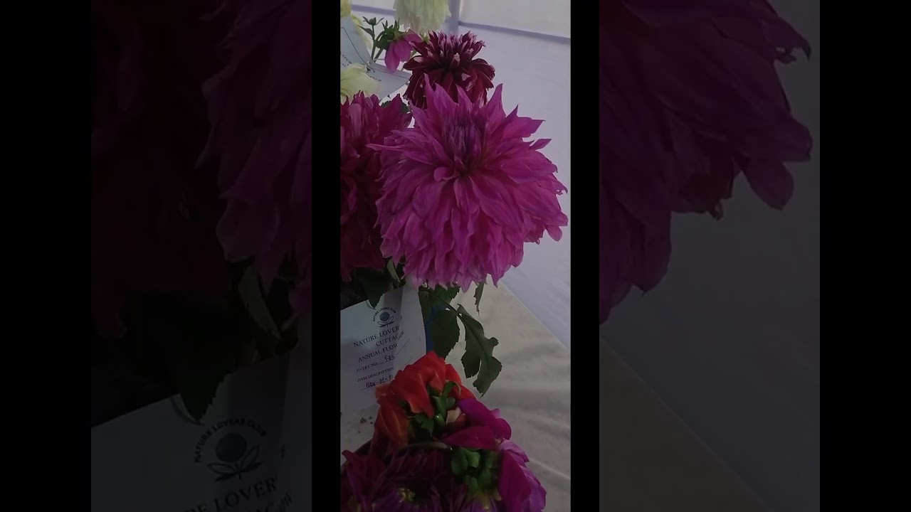 Cuttack Flower show 31/01/2026