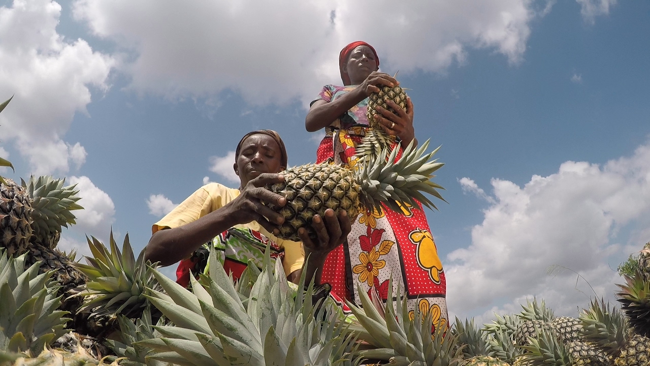 Marafa Integrated Livelihood & Economic Dev. Project