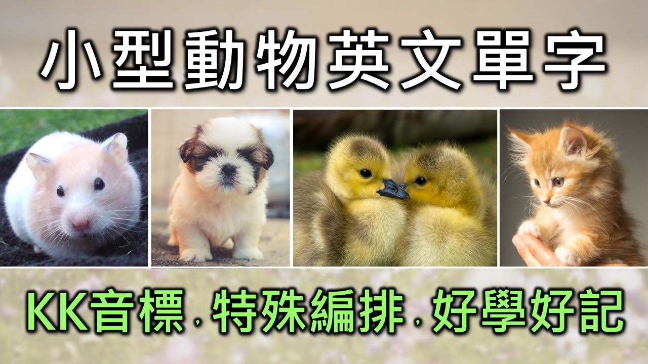 動物英文單字共24個+KK音標，看音標學單字。相同情境一起學，快速擴充單字量。單字記憶通，好唸，好記，學得快，增加學習樂趣，快速學習大量單字。
