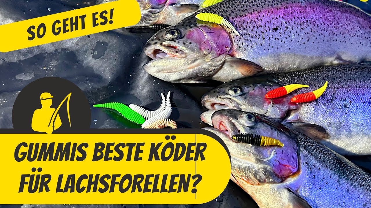 Grundlagen des Gummiangelns auf Lachsforellen
