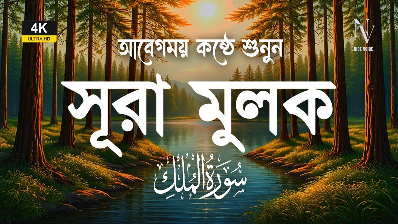 রাতে ঘুমানোর আগে এই সূরা মুলক শুনুন 🌙 | Surah Mulk Tilawat | سورة الملك | Shamsul Haqe