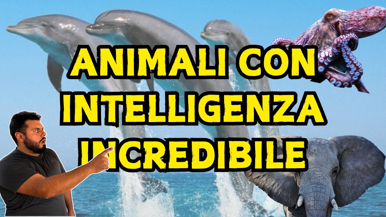 Top 5 Animali Super Intelligenti: Non Crederai alle Loro Capacit&agrave;
