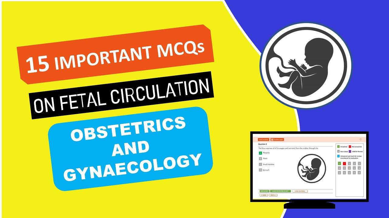 Fetal circulation mcq l Fetal circulation l obg mcq with answers