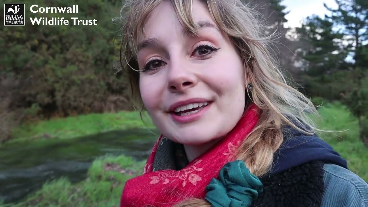 Emily Hardisty explores Bissoe Valley Nature Reserve