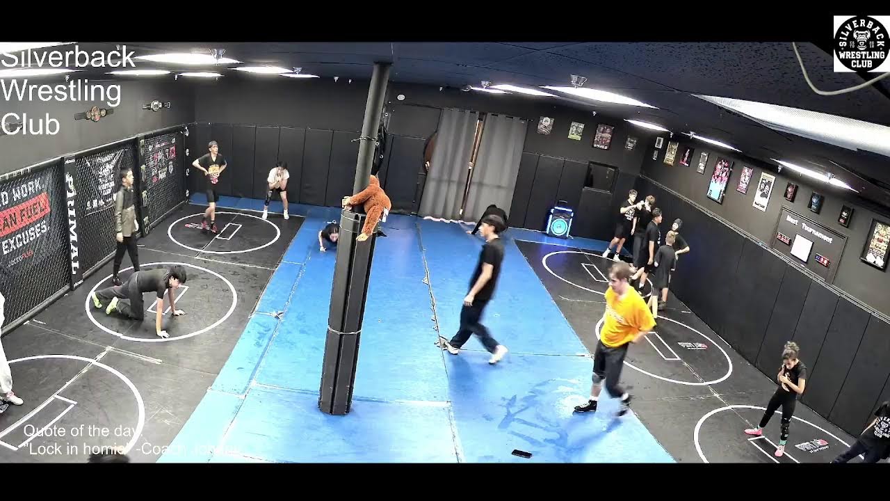 Silverback Wrestling Room