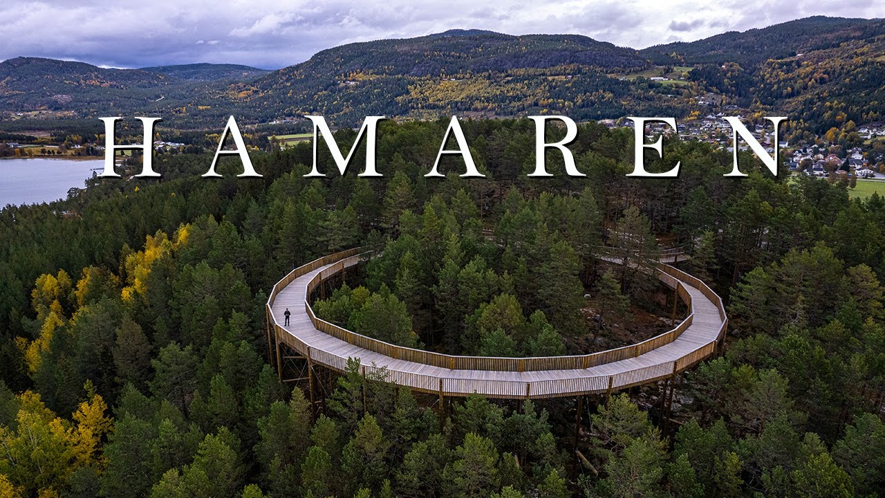 Magical Walk Above the Trees 🌲 | Hamaren & Tretoppvegen, Fyresdal Norway Travel Guide