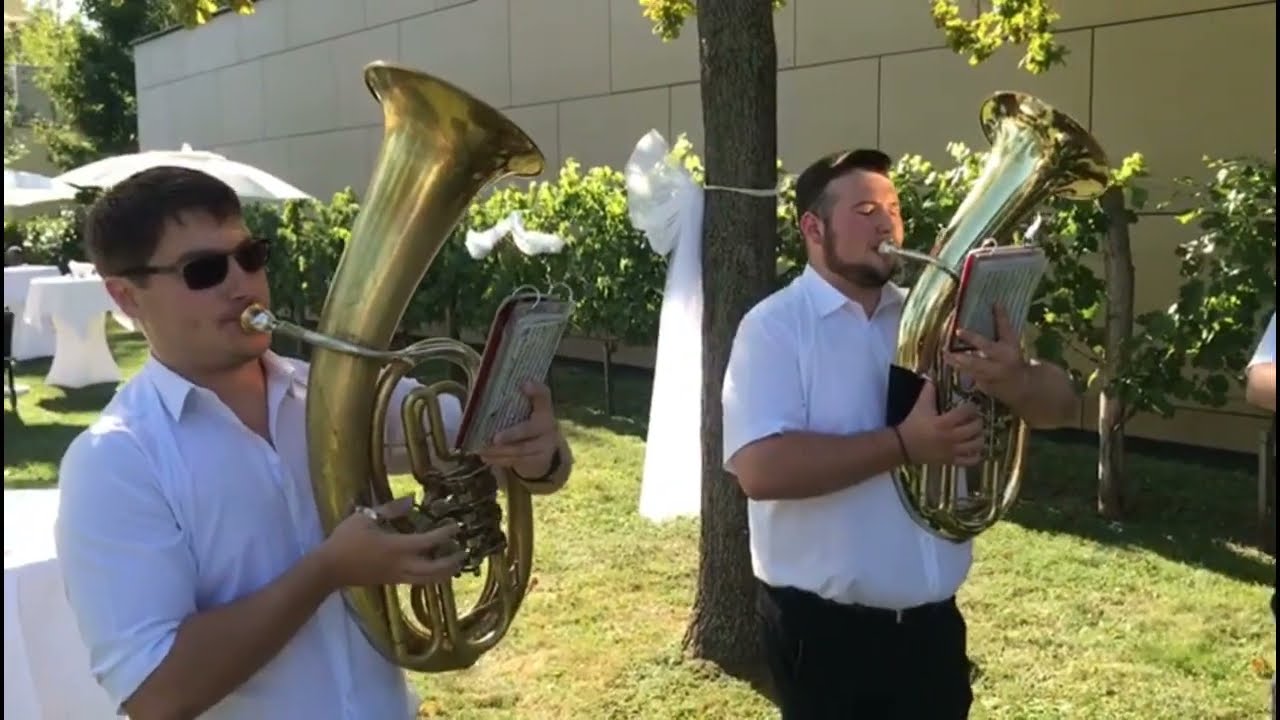 Hochzeitspielen im Burgenland – Andauer Musikanten