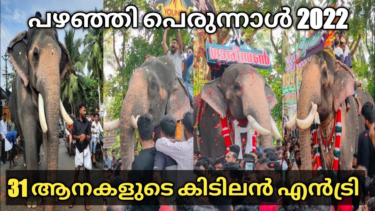 പഴഞ്ഞി പെരുനാൾ 2022 | 31 ആനകൾ പങ്കെടുത്തു | pazhanji palli perunnal 2022