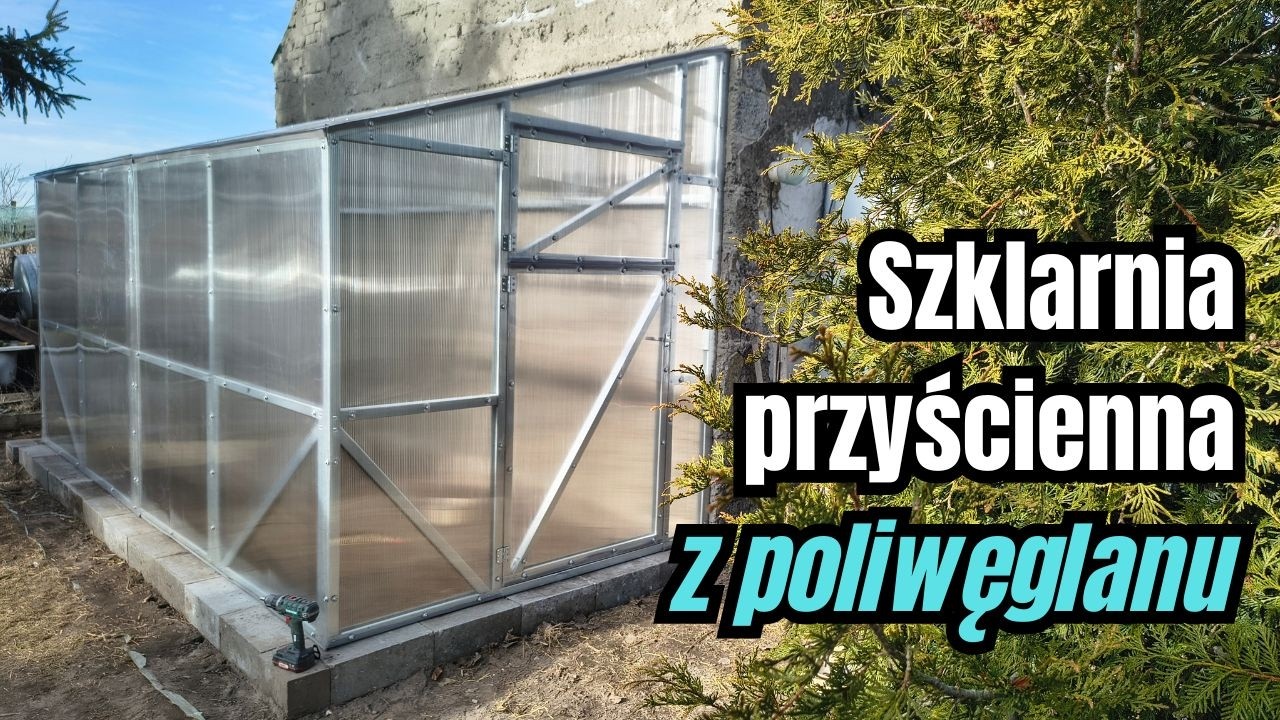Nowa Szklarnia Przyścienna z Poliwęglanu. Montaż i pierwsze wnioski
