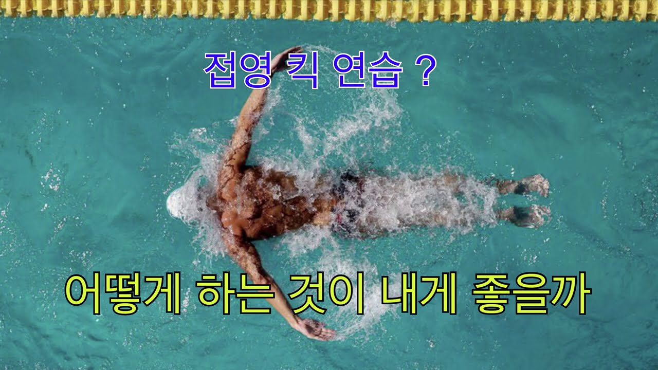 접영 킥 연습 ? 어떤 연습이 나에게 맞는 것일까 ?
