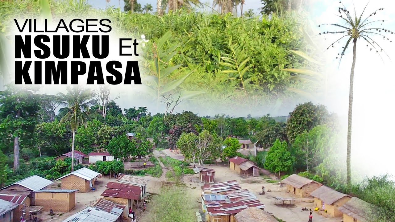 DÉCOUVERTE VILLAGES NSUKU ET KIMPASA NA NGEBA. BOZONGA NA MBOKA SI NON BOKOZANGA MABELE. BOLANDA!