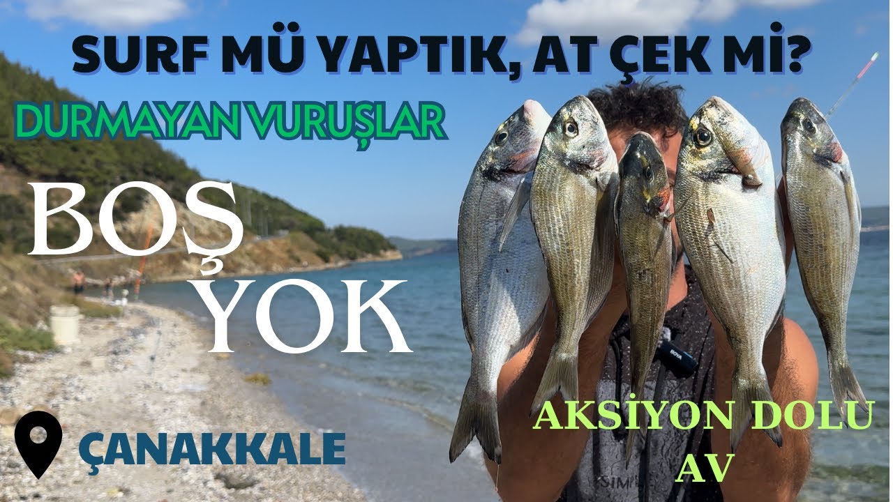 ÇILGIN VURUŞLAR. #çanakkalebalıkavı #balıkavıvideoları #çupra  #fishing #balık #balıkavı #çupra