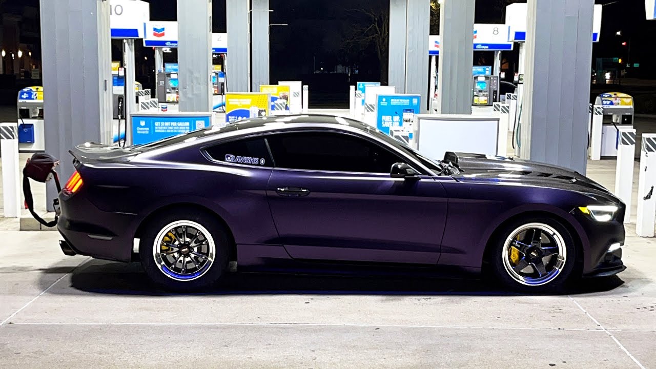 Whipple Vs Procharger Mustang | 1000HP Hellcat | TT 5.0 | 2650 Magnuson Chevy SS & MORE!!