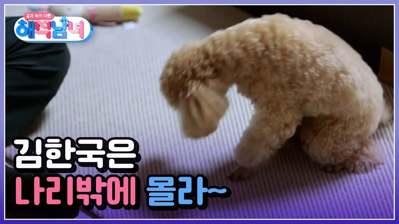 또 다른 가족인 반려견 나리! 김한국은 나리밖에 몰라~ MBN 220316 방송