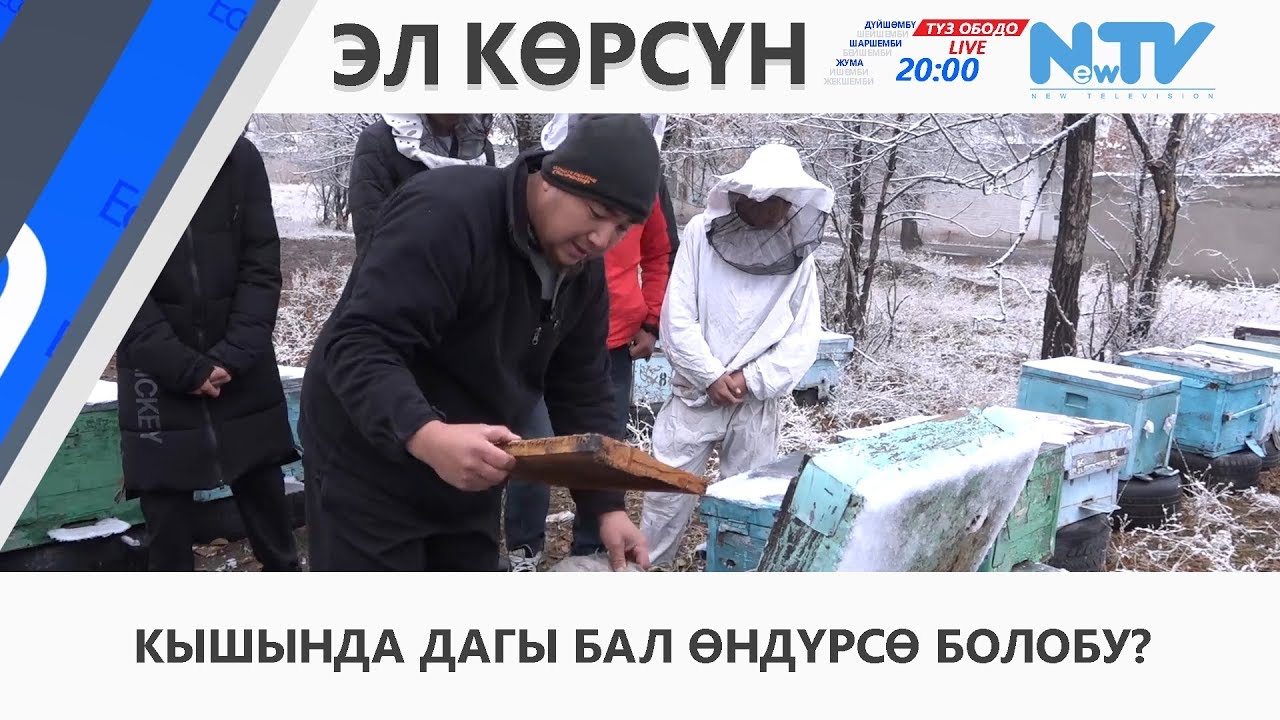 КЫШЫНДА ДАГЫ БАЛ ӨНДҮРСӨ БОЛОБУ?