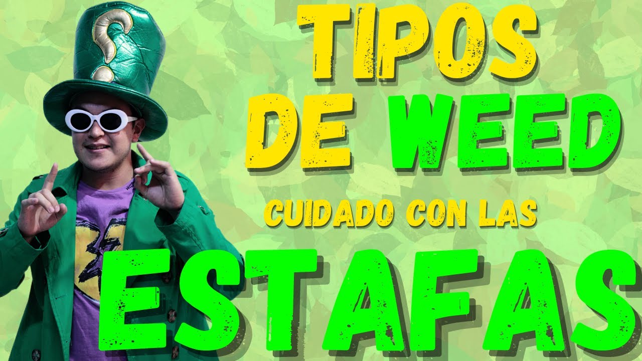 Tipos de CANNABIS I &iquest;Gorilla Glue o Purple Haze? La VERDAD detr&aacute;s de cepas conocidas I Educannabis