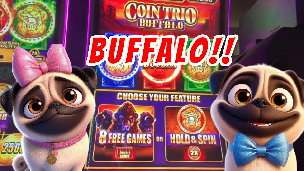 Не жалуйтесь, когда автомат ВЫДАЕТ нам деньги! Игровой автомат Coin Trio Buffalo | Gambling Pugs