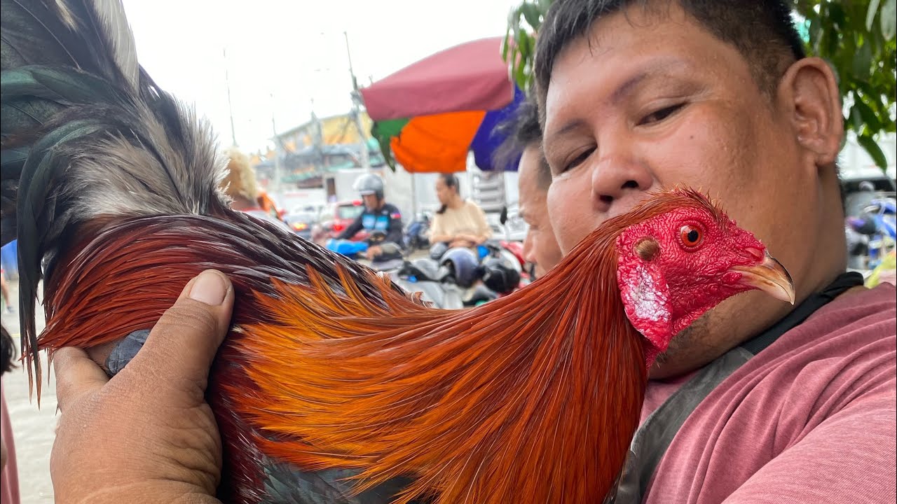 Episode 20: Manok Expo sa Carbon Public Market Cebu City #breedingseason2025 