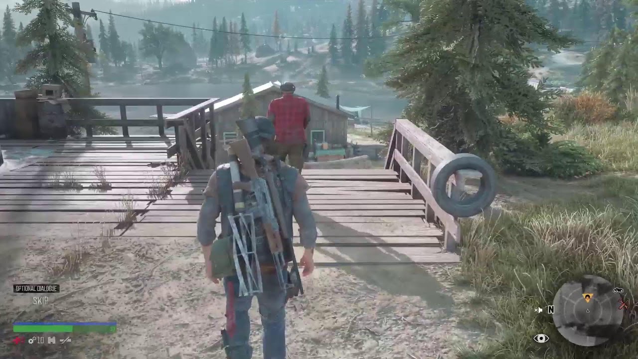 Days Gone