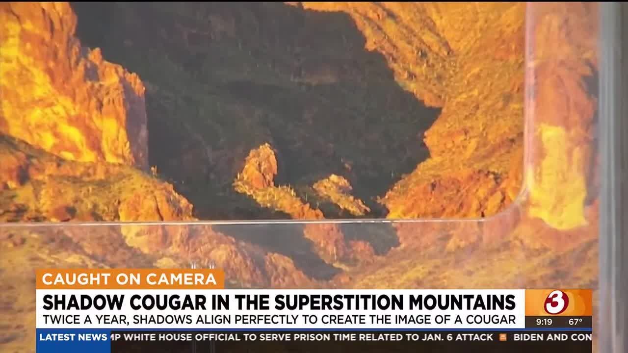 Shadow Cougar in the Superstition Mountains