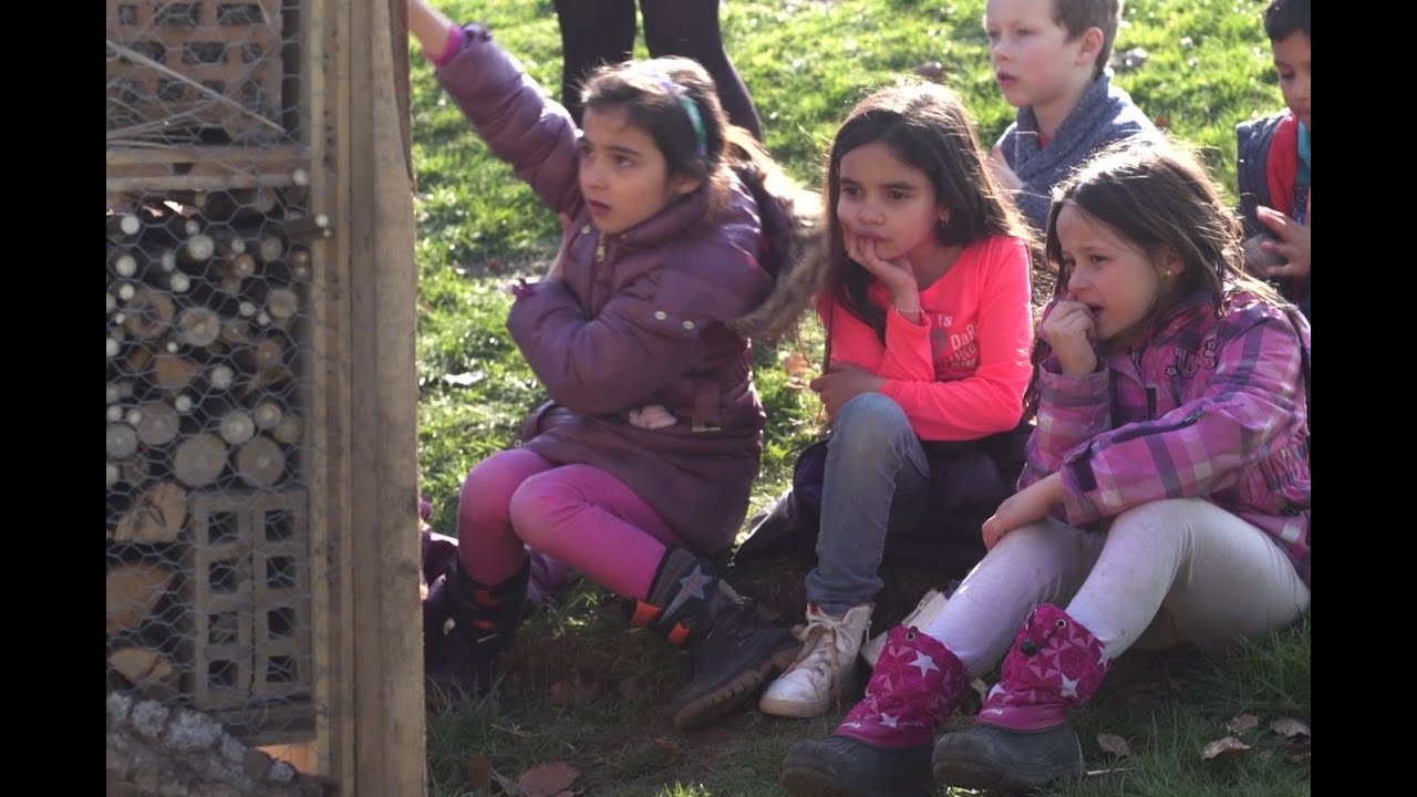 Nature en ville - Ecoles de Meyrin - Concours 2015