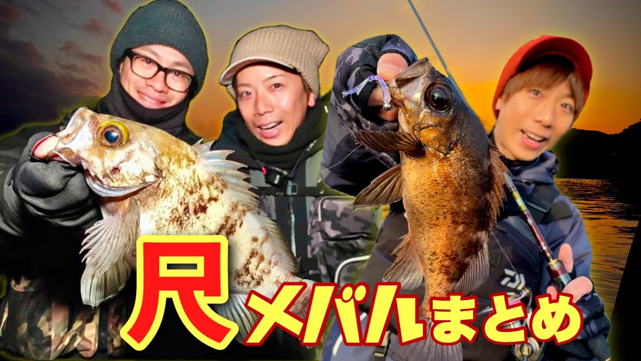 【でかメバル総集編】尺オーバーの捕獲回をまとめたら神回になってしまった❗️