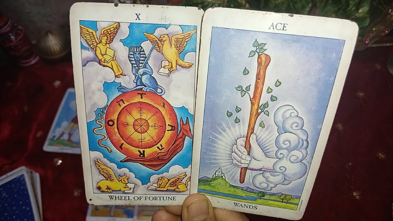Current energy of your person #tarot#tarotreading 