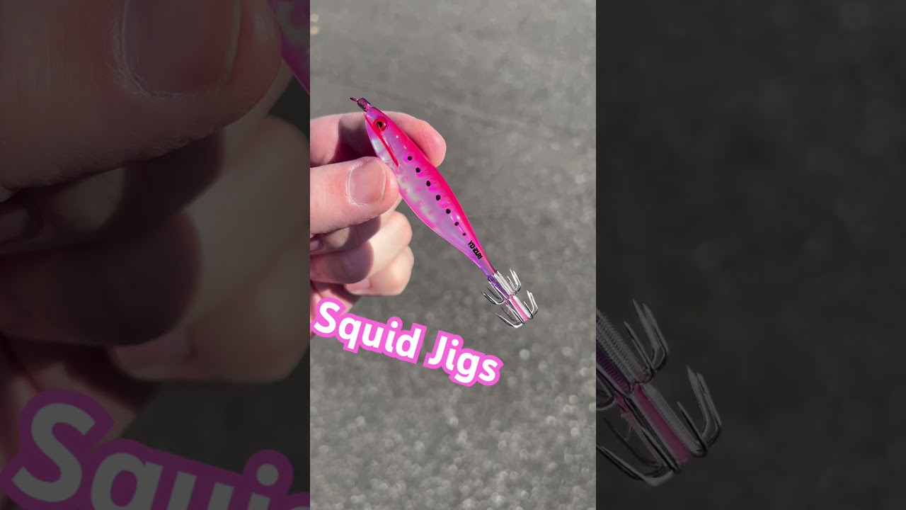 Yo-Zuri Squid Jigs are great for targeting 🦑! They are easy to use and work great. Lots of options.
