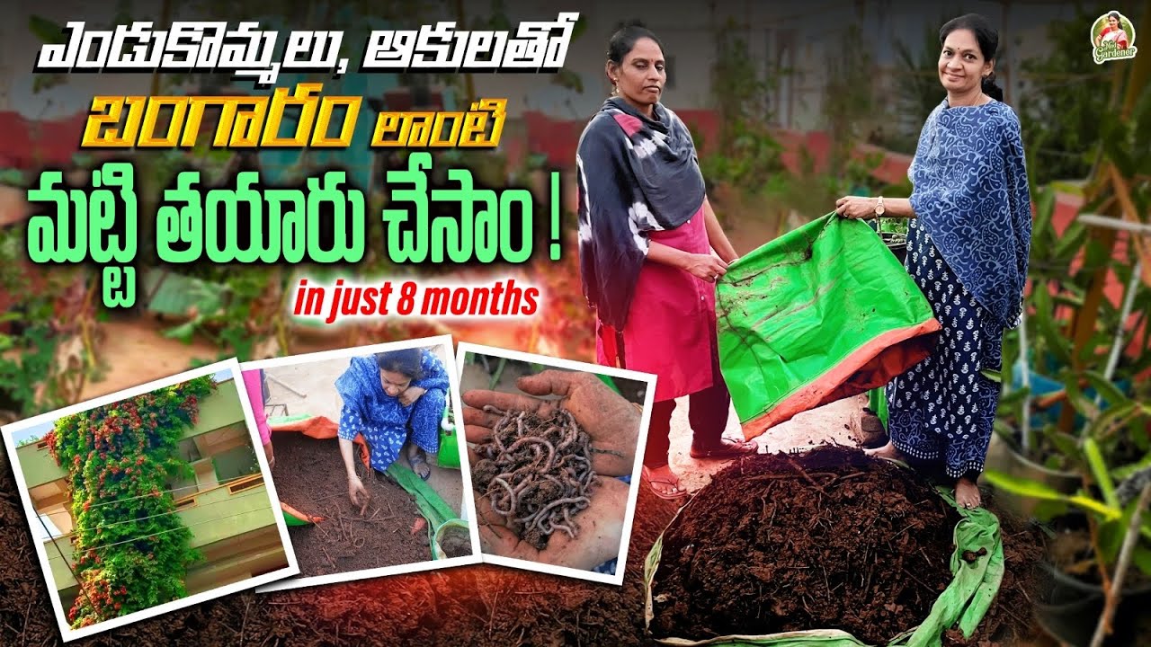మీ మట్టి మీరే తయారు చేసుకోండి./Prepare your own soil at zero cost   @MAD GARDENER