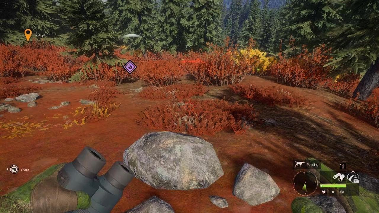 theHunter: Call of the Wild_20260117180427