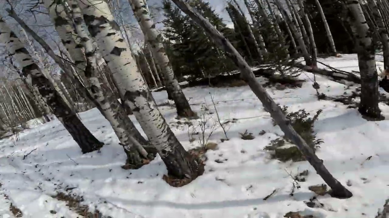 Single track Saturday part 3