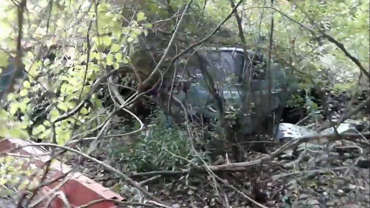 The Forest of the abandoned hippie vans