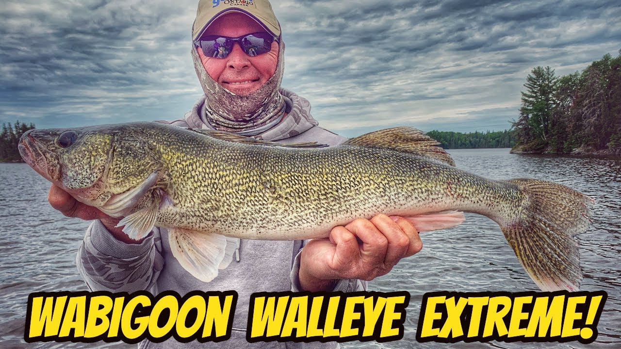 WABIGOON'S WONDERFUL WALLEYE- New season teaser