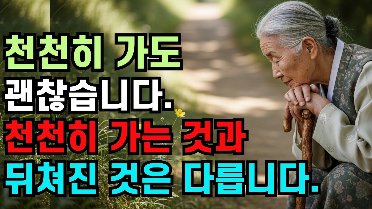 [인생지혜]🐢 나만의 속도로 살아도 괜찮아요 | 노자, 니체, 법정 스님이 말하는 느린 삶의 지혜 | 오후쉼표 인생지혜