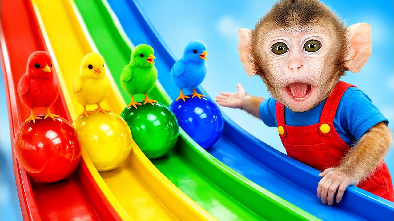 Mono CoCo  descubre pollitos de colores en el tobog&aacute;n con su amigo 🌈 | MONO COCO ESP