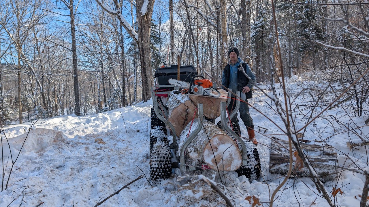 Let's get the remaining firewood of yellow birch
