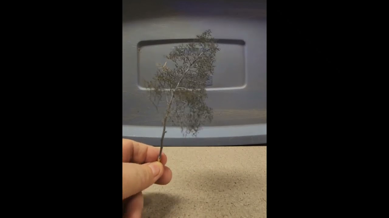 Quick and Easy Trees with Scenic EXPRESS SuperTrees