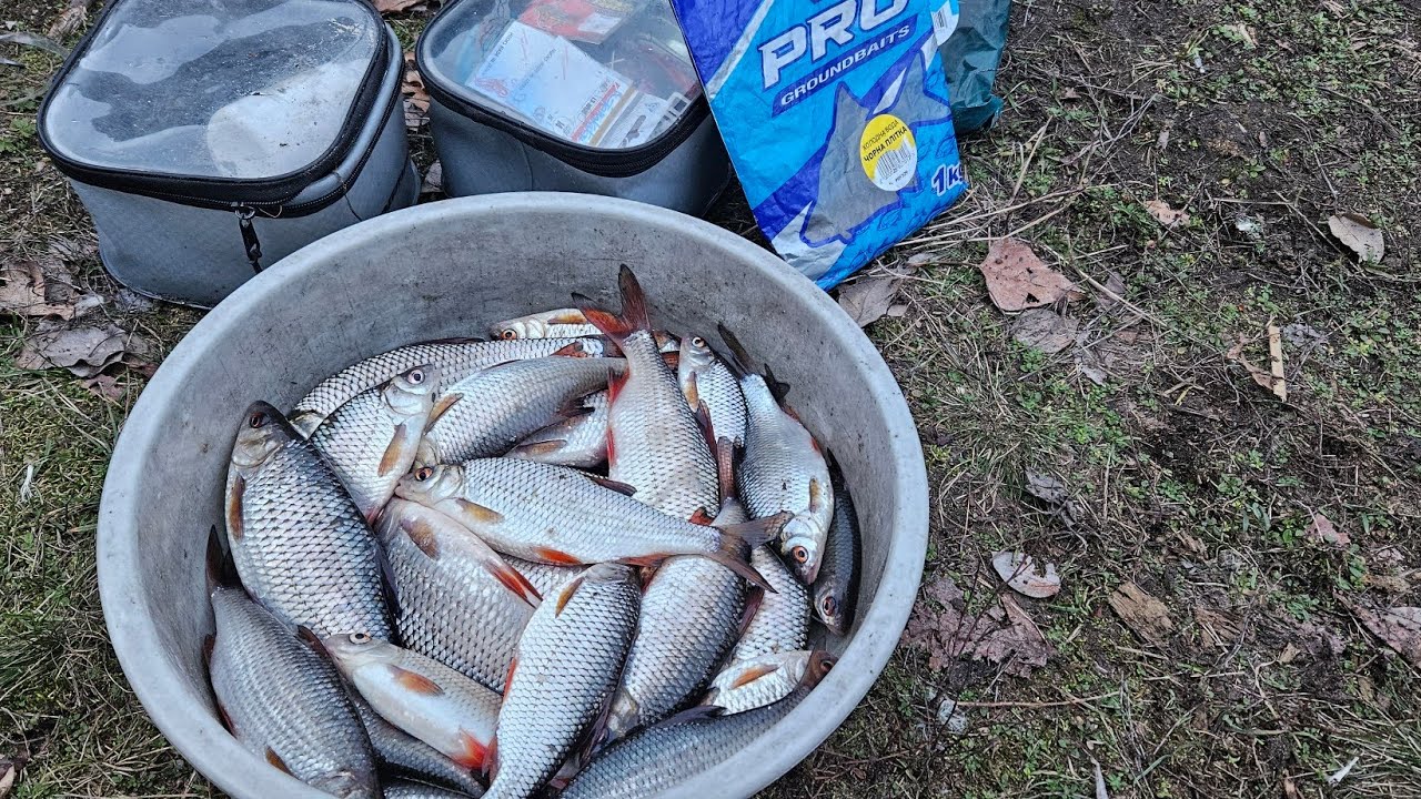 СНІГ-ЛІД🐳 А ВОНА КЛЮЕ 🐳🐳🐳 РИБОЛВЯ НА ФІДЕР В ЗИМКУ🤟🤟🤟