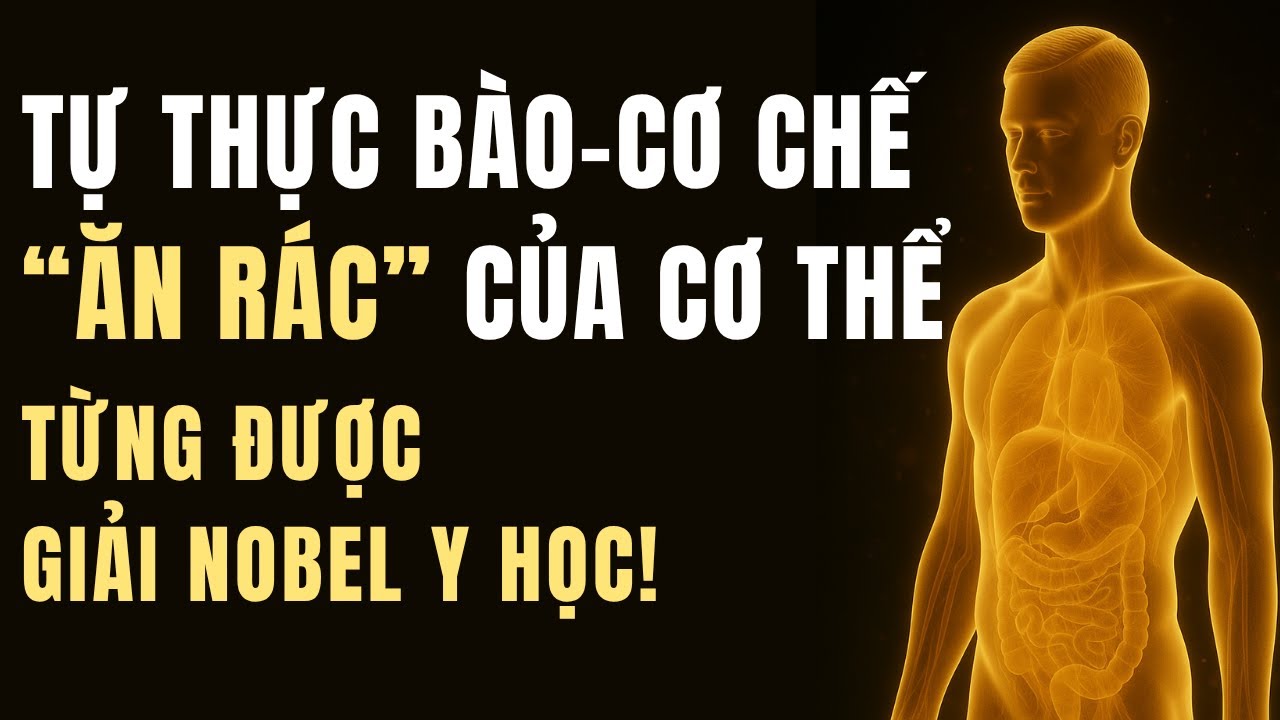 Tự Thực Bào – Cơ Chế 