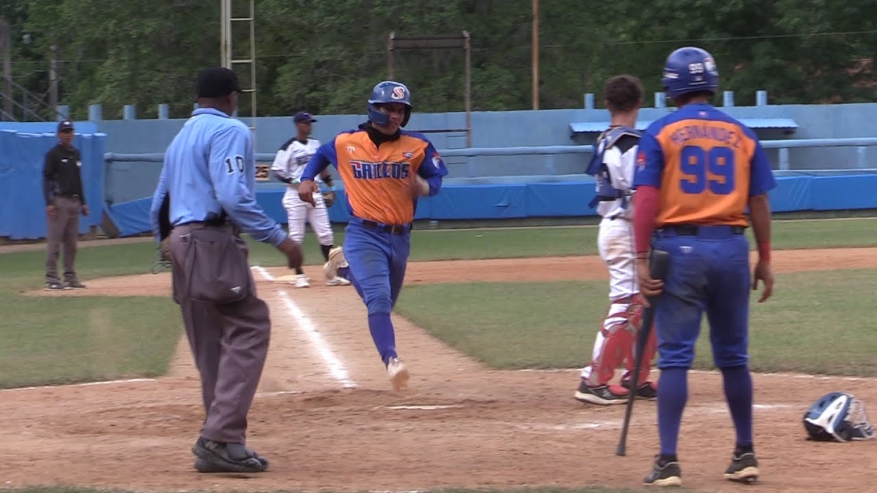 GALLOS DESTRONAN CACHORROS Y PRONÓSTICOS