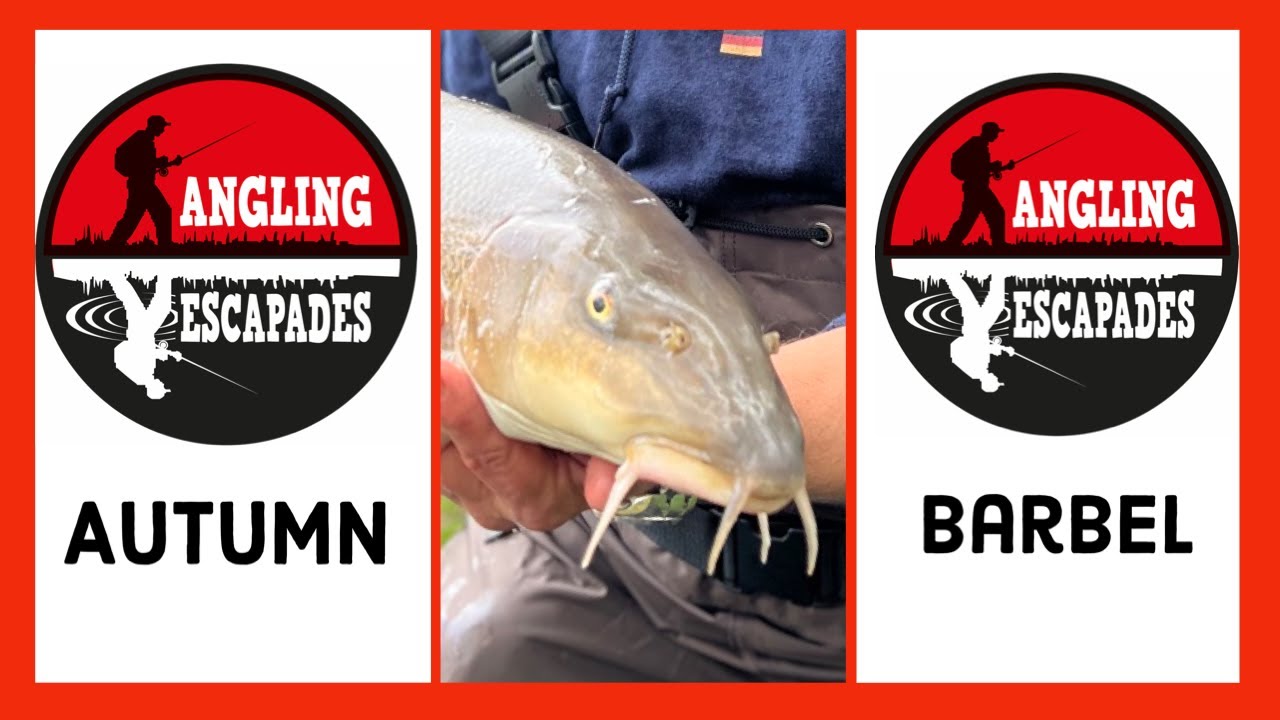 Осенний усач