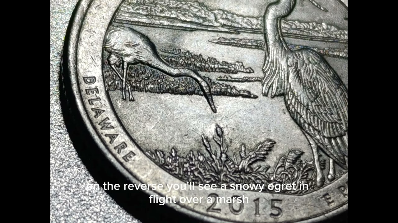 🇺🇸 Rare 2015 P Bombay Hook Quarter &mdash; Check Your Change!💰#2015PQuarter #BombayHookQuarter