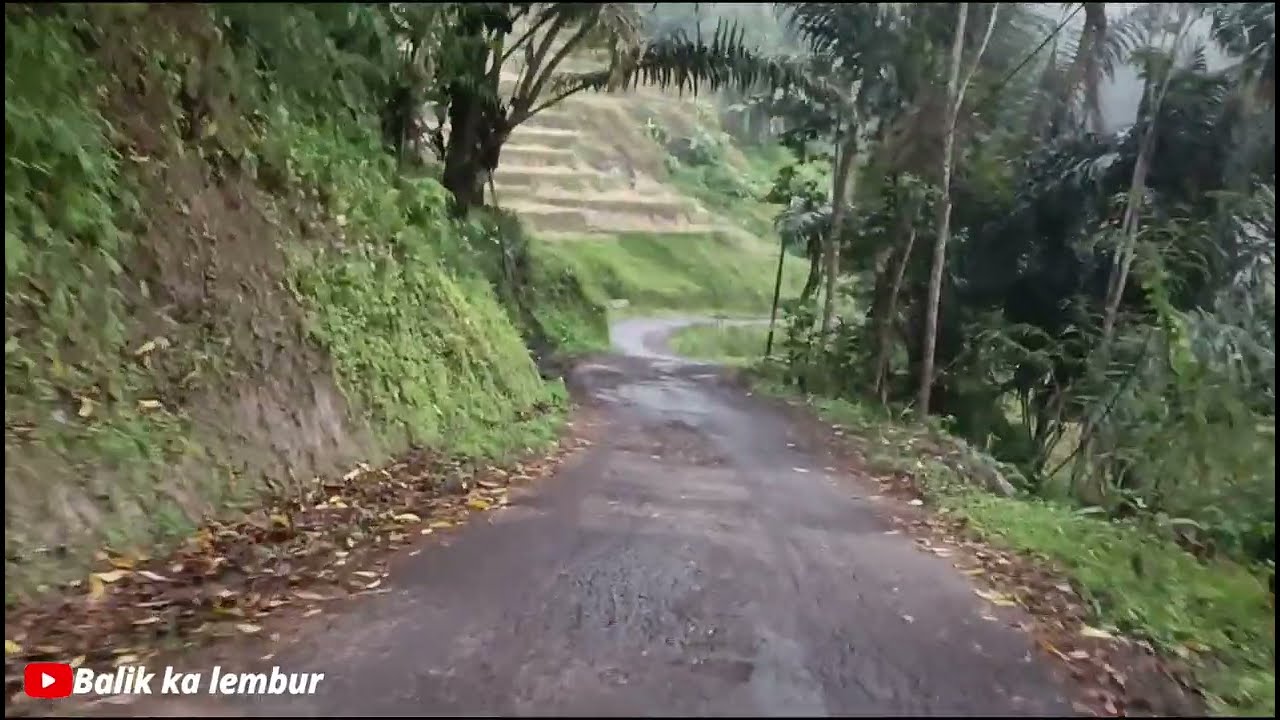 jalan menuju desa selaawi, begitu sejuk dan sepi | suasana pedesaan