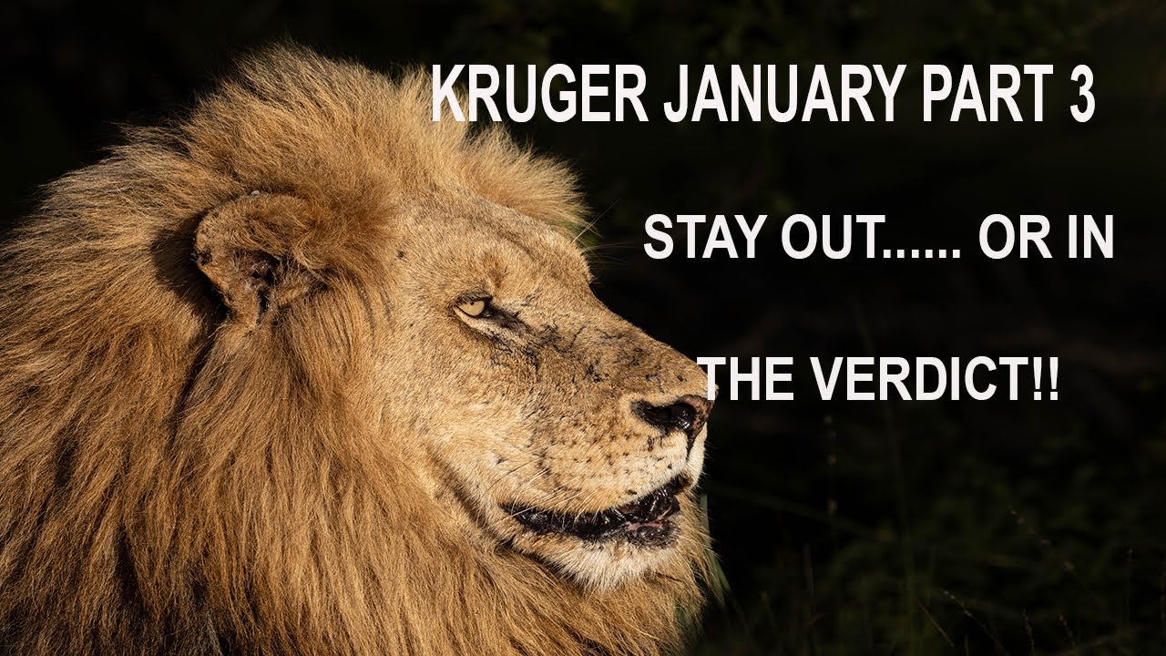 KRUGER JAN 25 PART 3