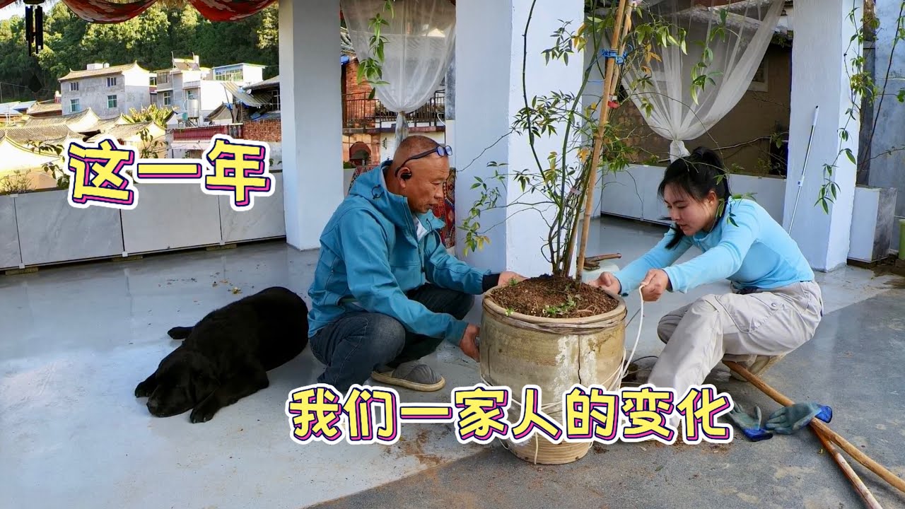 在雲南農村生活一年後，我們一家人的生活真的變了After One Year Living in Rural Yunnan, Our Family’s Life Truly Changed